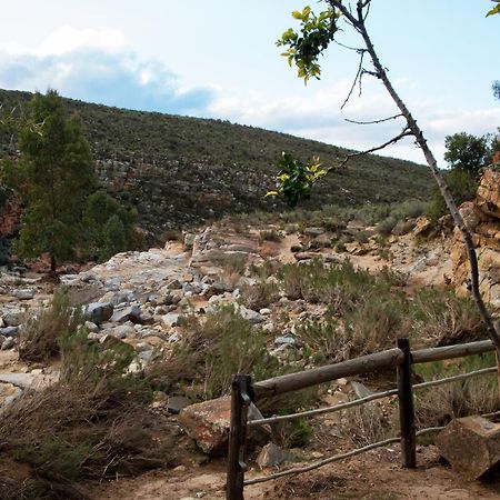 Desert Wind Private Guest And Game Farm Montagu Ngoại thất bức ảnh