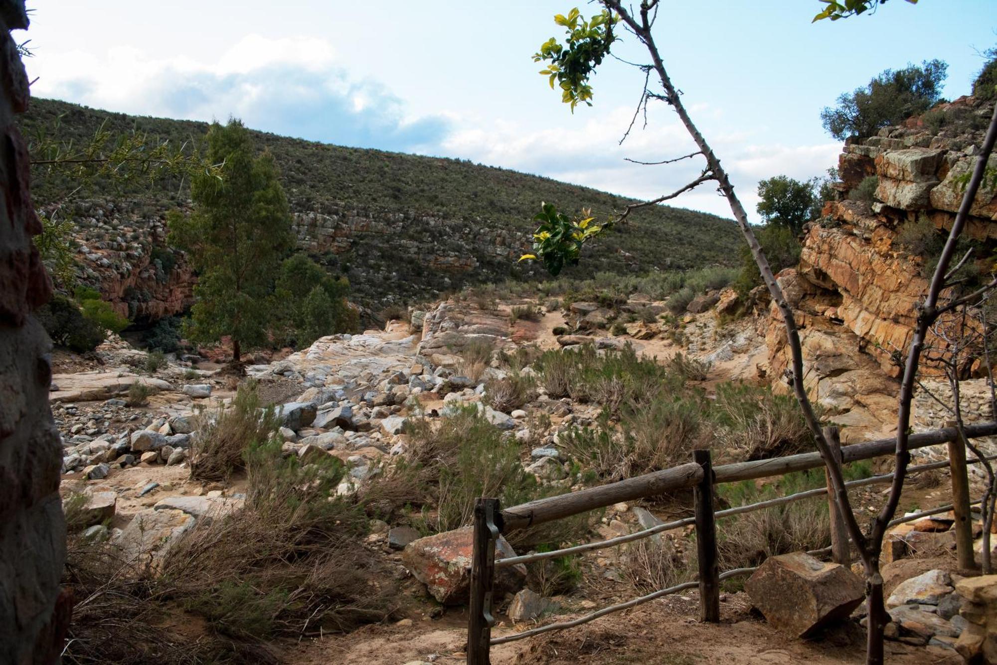 Desert Wind Private Guest And Game Farm Montagu Ngoại thất bức ảnh